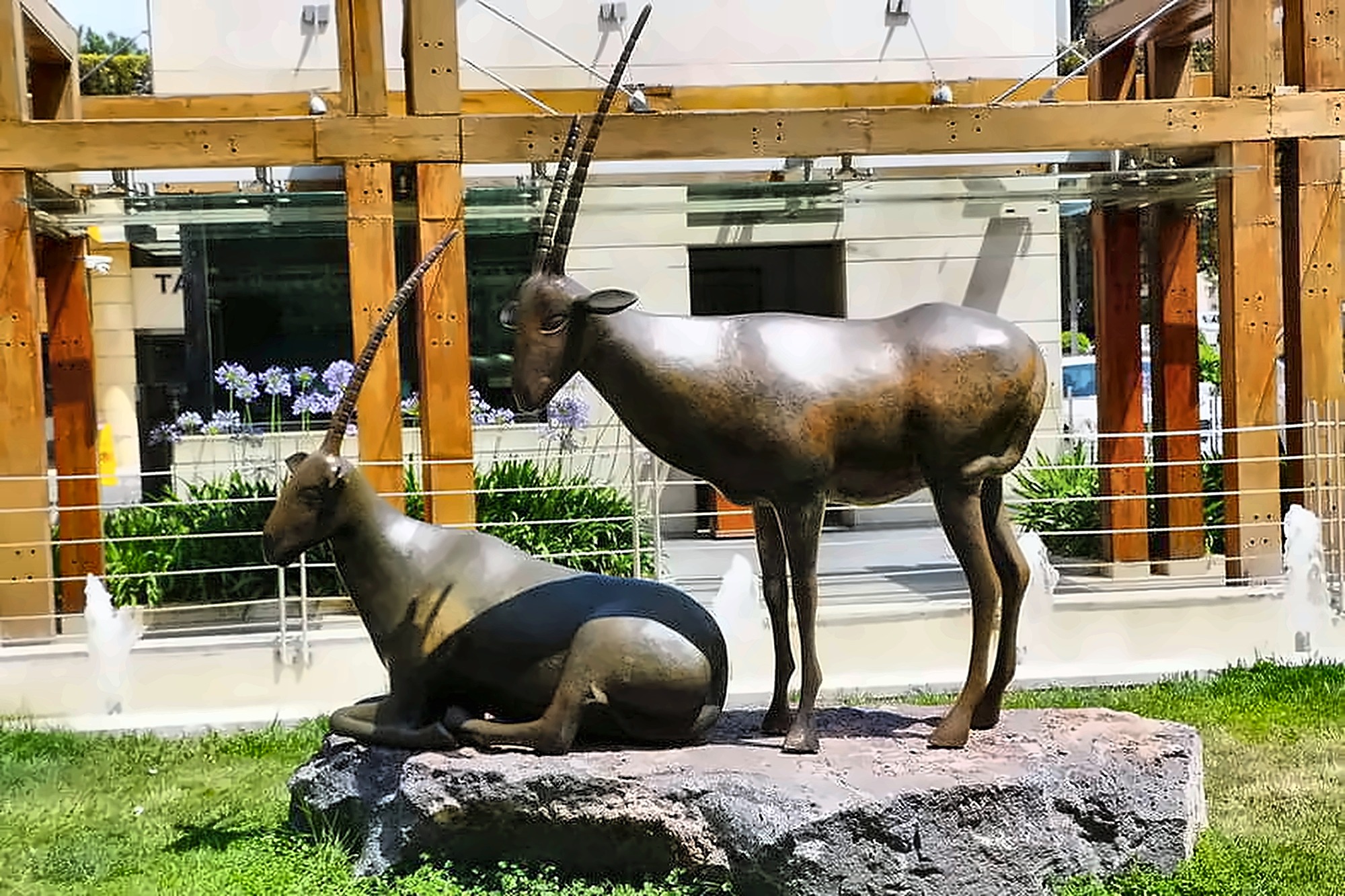 Two bronze Arabian oryx on a block of dark basalt in a landscaped courtyard, one standing with long ribbed horns raised, one lying beside it.
